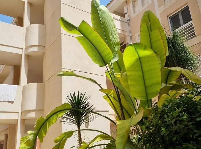 Flamenco Penthouse Sea View & Swimming Pool Apartamento