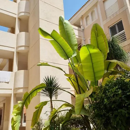 Flamenco Penthouse Sea View & Swimming Pool Апартаменты